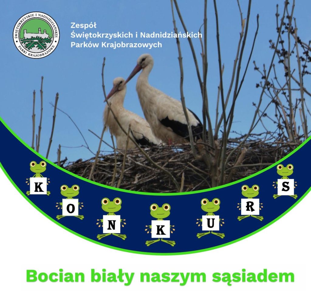„Bocian Biały Naszym Sąsiadem” - sukces w konkursie plastycznym