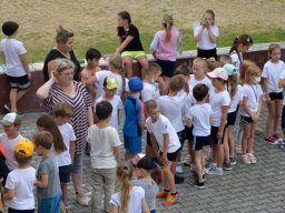 zdj_018