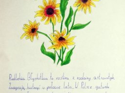 zadanie_4_1