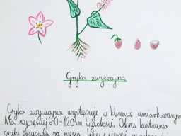 zadanie_4_10