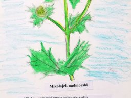 zadanie_4_13