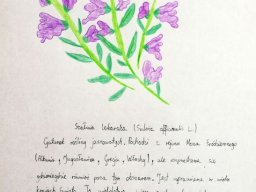 zadanie_4_14