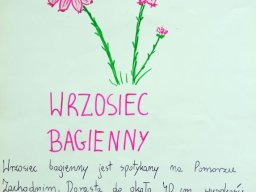 zadanie_4_15
