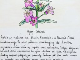 zadanie_4_16