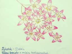 zadanie_4_17
