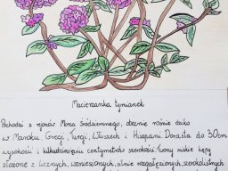 zadanie_4_18