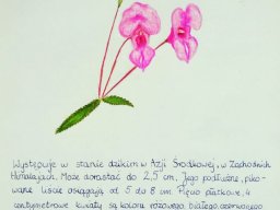 zadanie_4_3