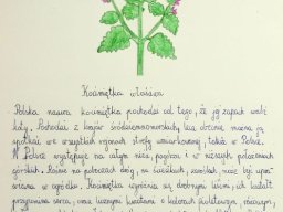 zadanie_4_8