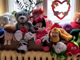 przynies_misia_003