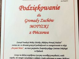 przynies_misia_018